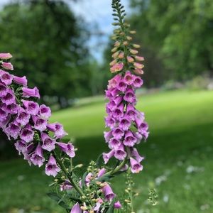 Meet your Posher, Christine